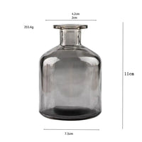 Nordic Glass Flower Vase Decor